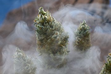marijuana smoke - mj