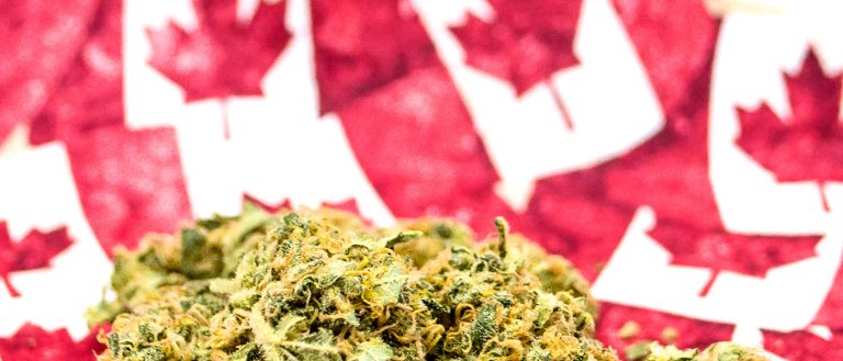 Weed - Canadian flag - MJ Canada