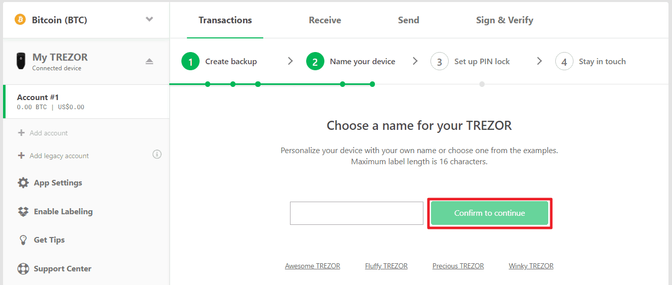 Trezor Setup - choose name