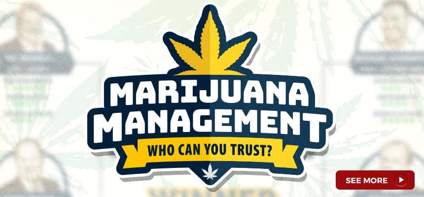 marijuana-management-who-can-you-trust-bracket-1