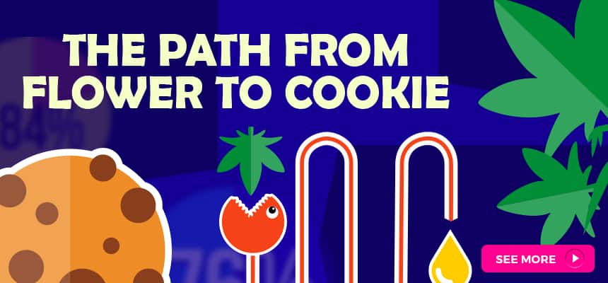 creative-feature-path-from-flower-to-cookie