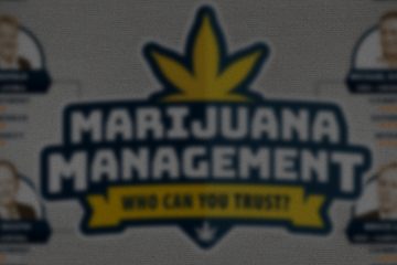 Marijuana management - Top 4 Licensed Producers / Growers