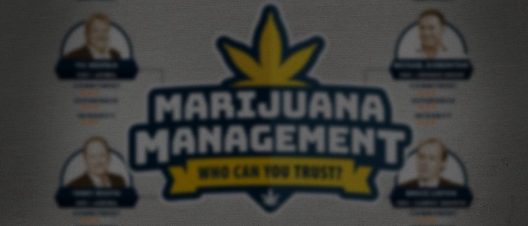 Marijuana management - Top 4 Licensed Producers / Growers