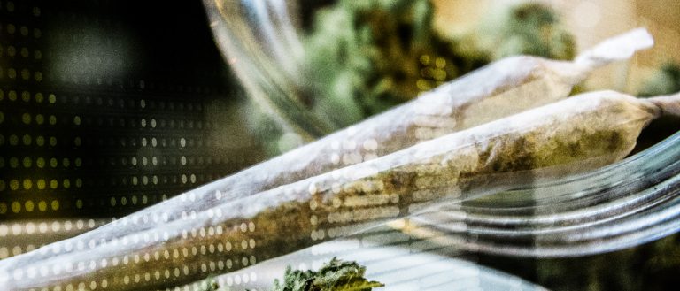 cannabis news