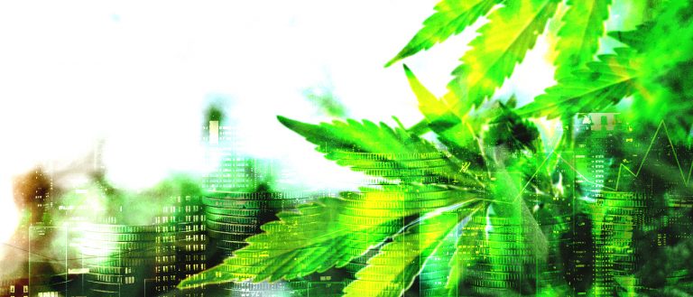 marijuana news weekly