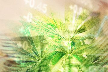 marijuana investor news