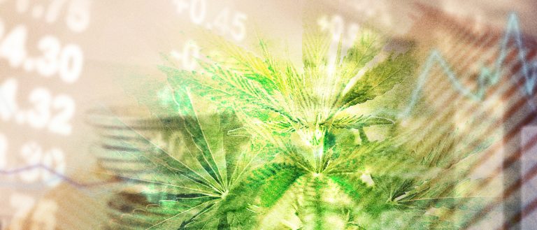 marijuana investor news