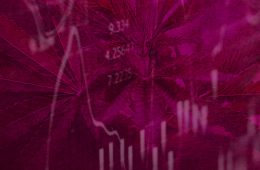 marijuana news weekly