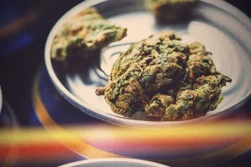Molson Coors buying marijuana