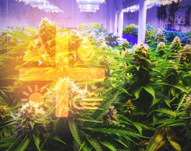 Aurora Cannabis Inc. (TSE:ACB) - debt facility with BMO