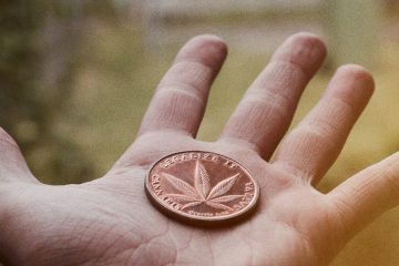 marijuana - mj investing 6