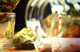 medical marijuana - mj medical 1