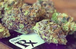 marijuana - mj medical 6