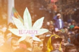 marijuana - mj politics 2 legalization
