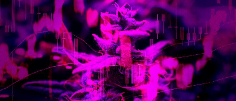 Marijuana stocks - mj stocks 5