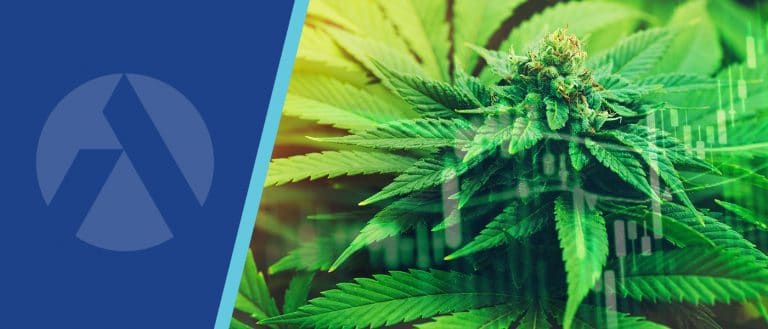 Cannabis Conviction Call