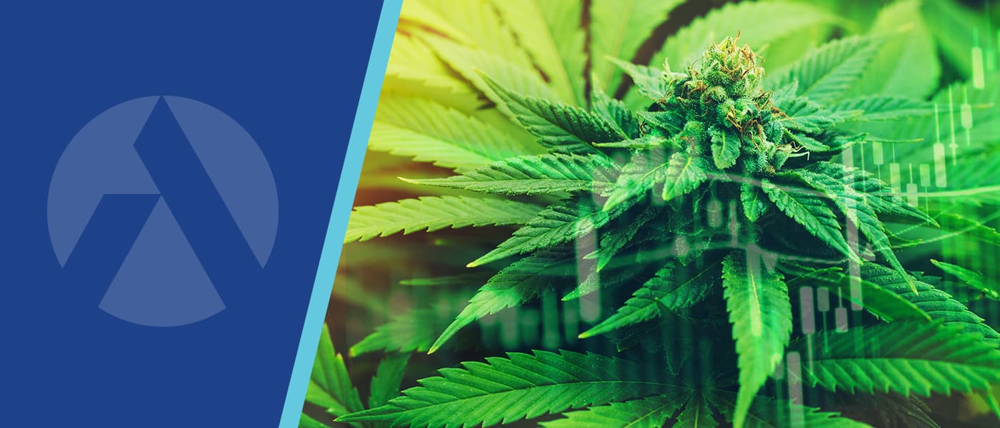 Cannabis Conviction Call