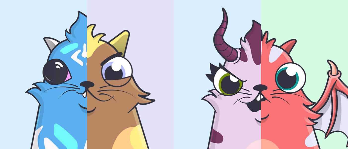 CryptoKitties Team Raise $15 million