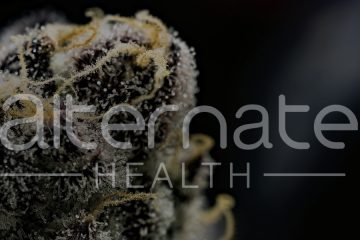 Alternate Health - marijuana