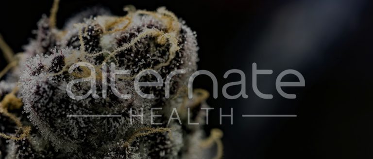 Alternate Health - marijuana
