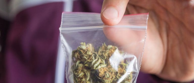 Legalized marijuana