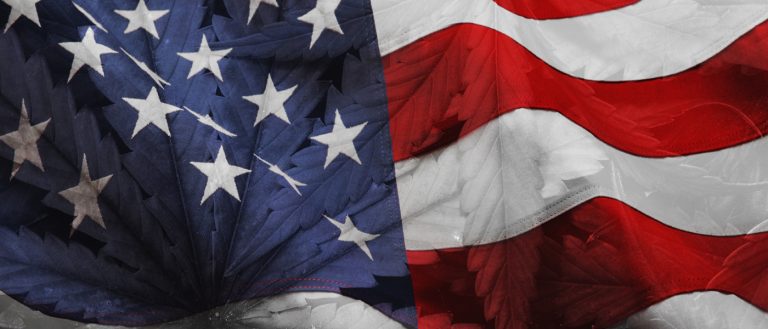 Marijuana - United States USA - MJ