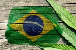 Marijuana - Brazil - MJ