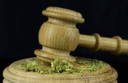 marijuana-law-11 mj