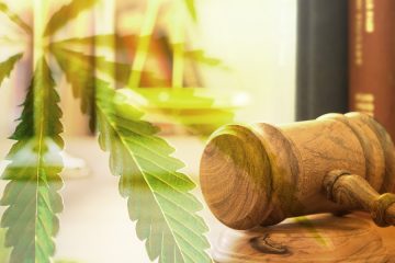 marijuana-law-12 mj