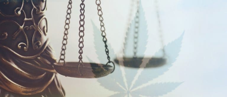 Marijuana - Law - MJ