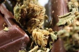 Cannabis / Marijuana products / Edibles - mj