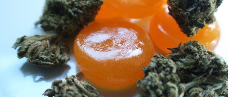 Cannabis / Marijuana products / Edibles - mj