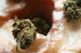 Cannabis / Marijuana products / Edibles - mj