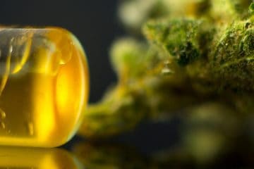 mj - cannabis oil