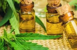 mj - cannabis cbd oil