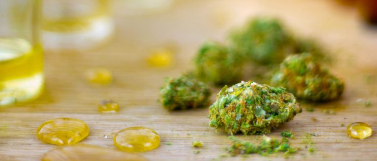 mj - marijuana and oil