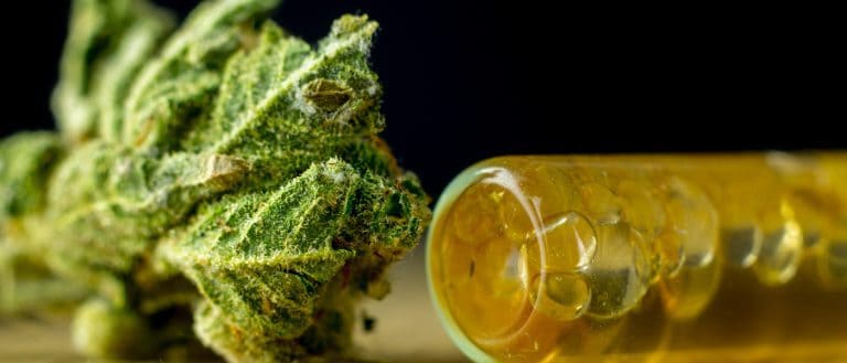 mj - weed flower and oil