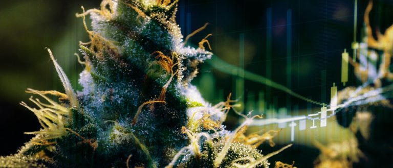 Marijuana stocks / cannabis stocks - mj