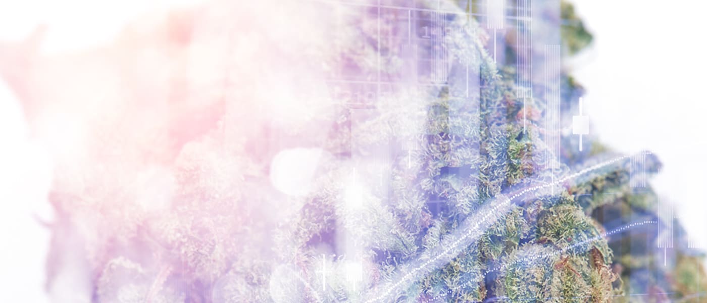 Marijuana stocks / cannabis stocks - mj