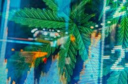 mj - marijuana stocks
