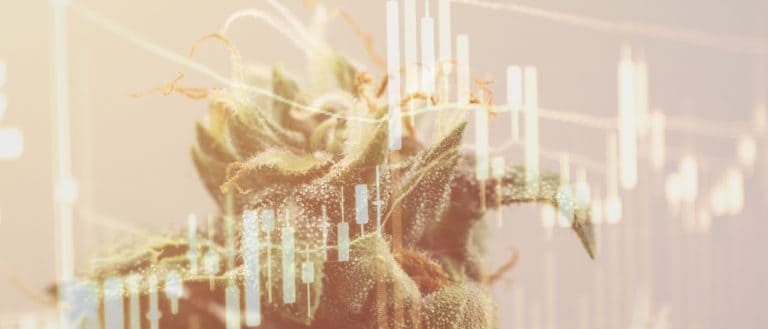 marijuana stocks news