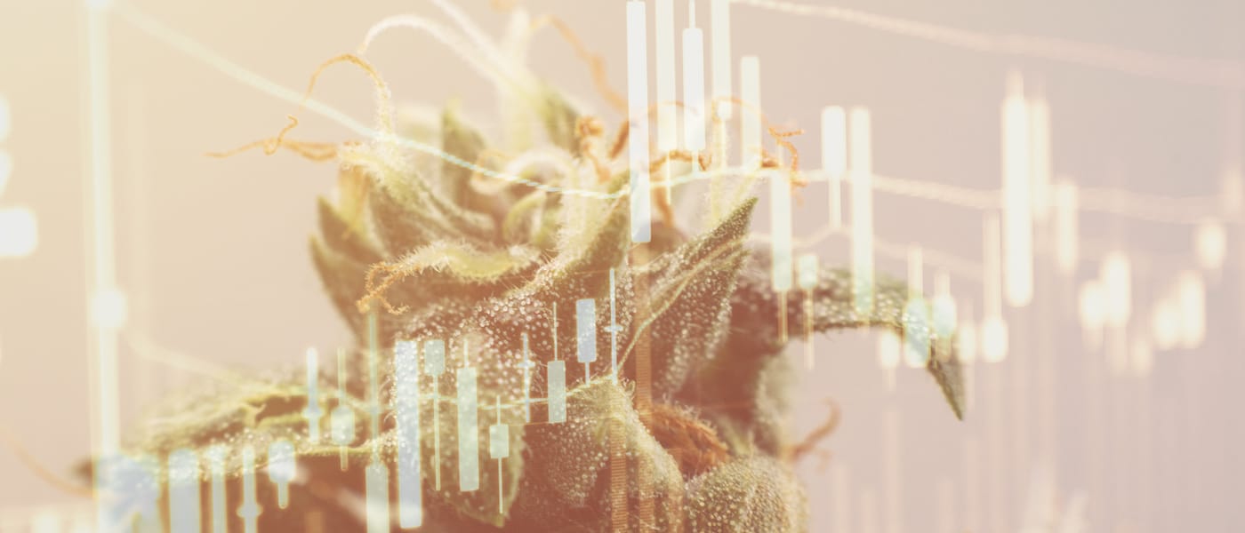 marijuana stocks news