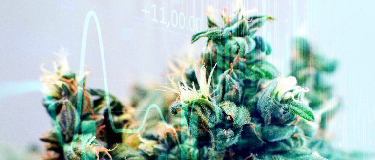 Marijuana stocks