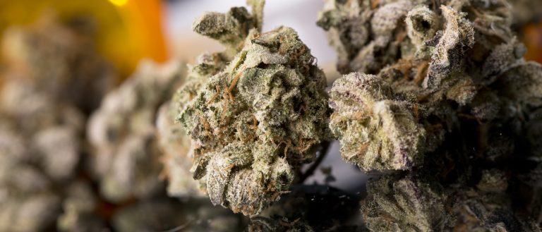 Thailand - marijuana