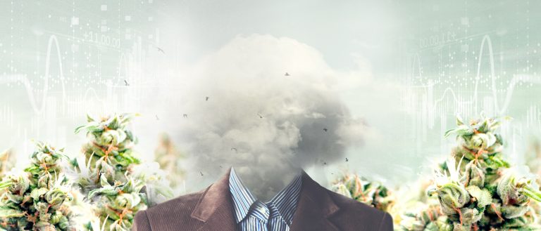 Marijuana Stocks Capital Markets Analysis