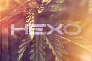 Hexo Q2 2019 Earnings